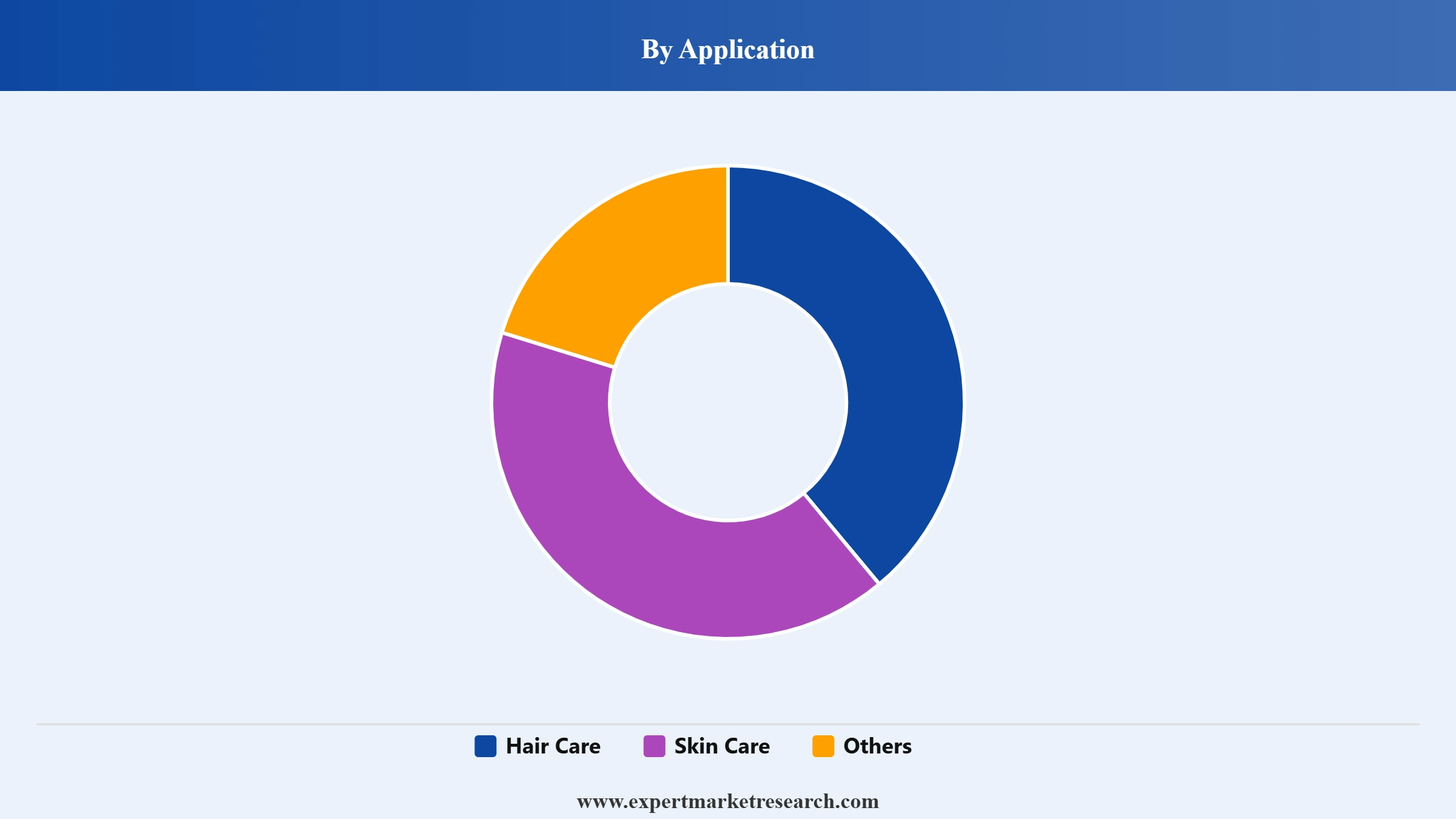 Dimethicone Market Segment Application