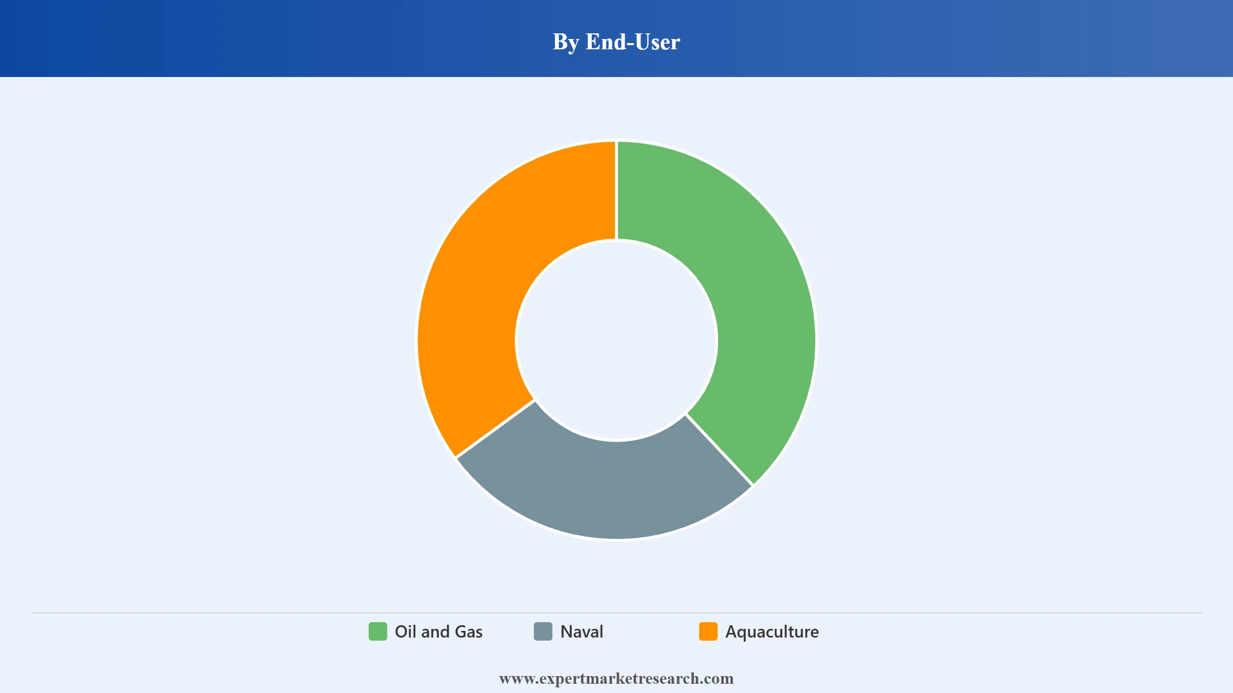 Diving Equipment Market Segment End User