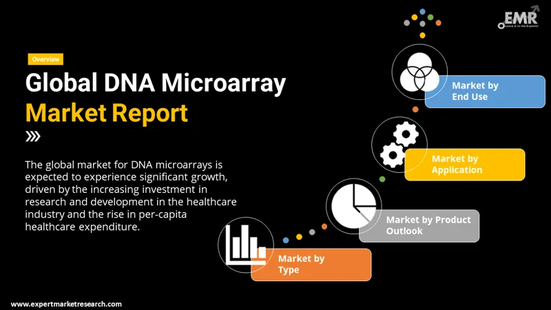 dna microarray market by segments