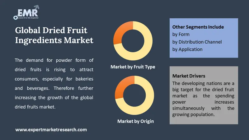 dried fruit ingredients market by segments