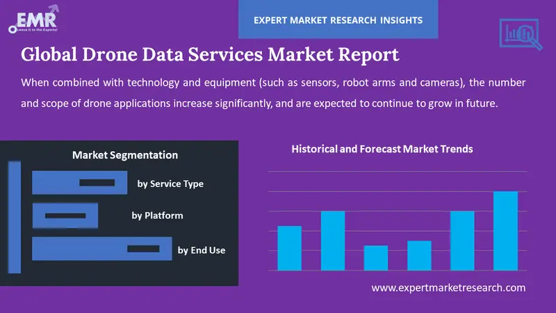 drone data services market by segments