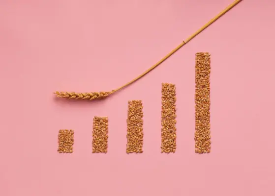 Emerging Markets And Wheat Consumption Growth