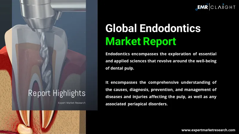 Global Endodontics Market
