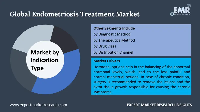 endometriosis treatment market by segments