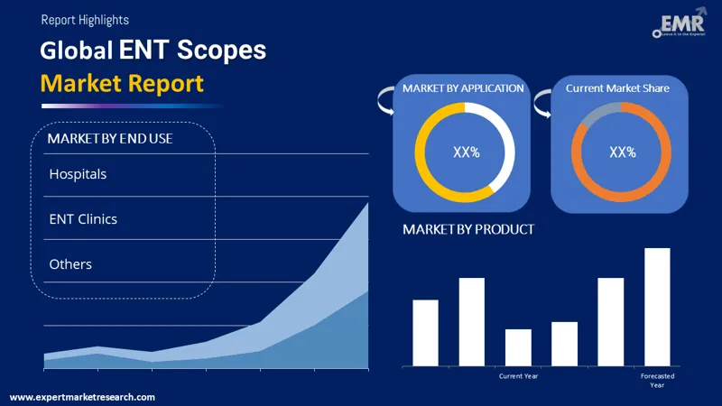 ent scopes market by segments