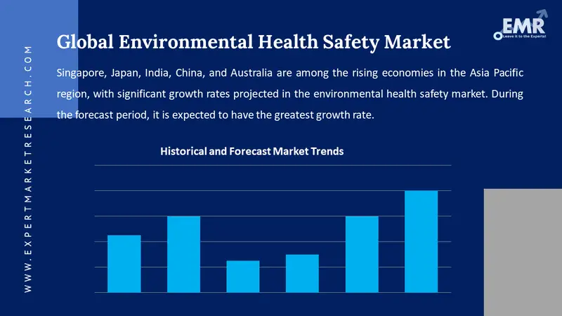 environmental health safety market
