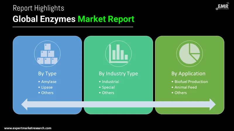 Global Enzymes Market