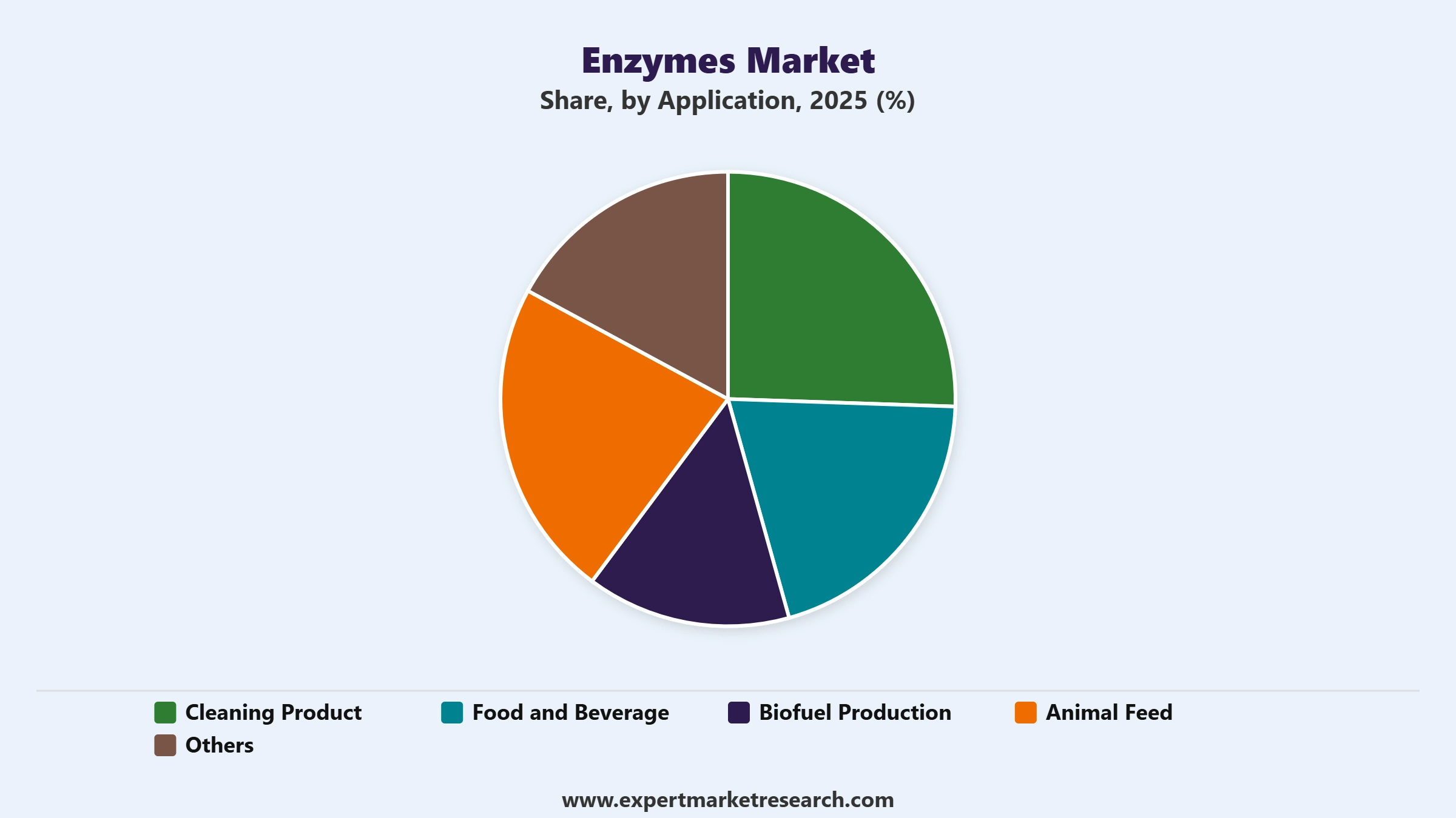 Enzymes Market Segment Application