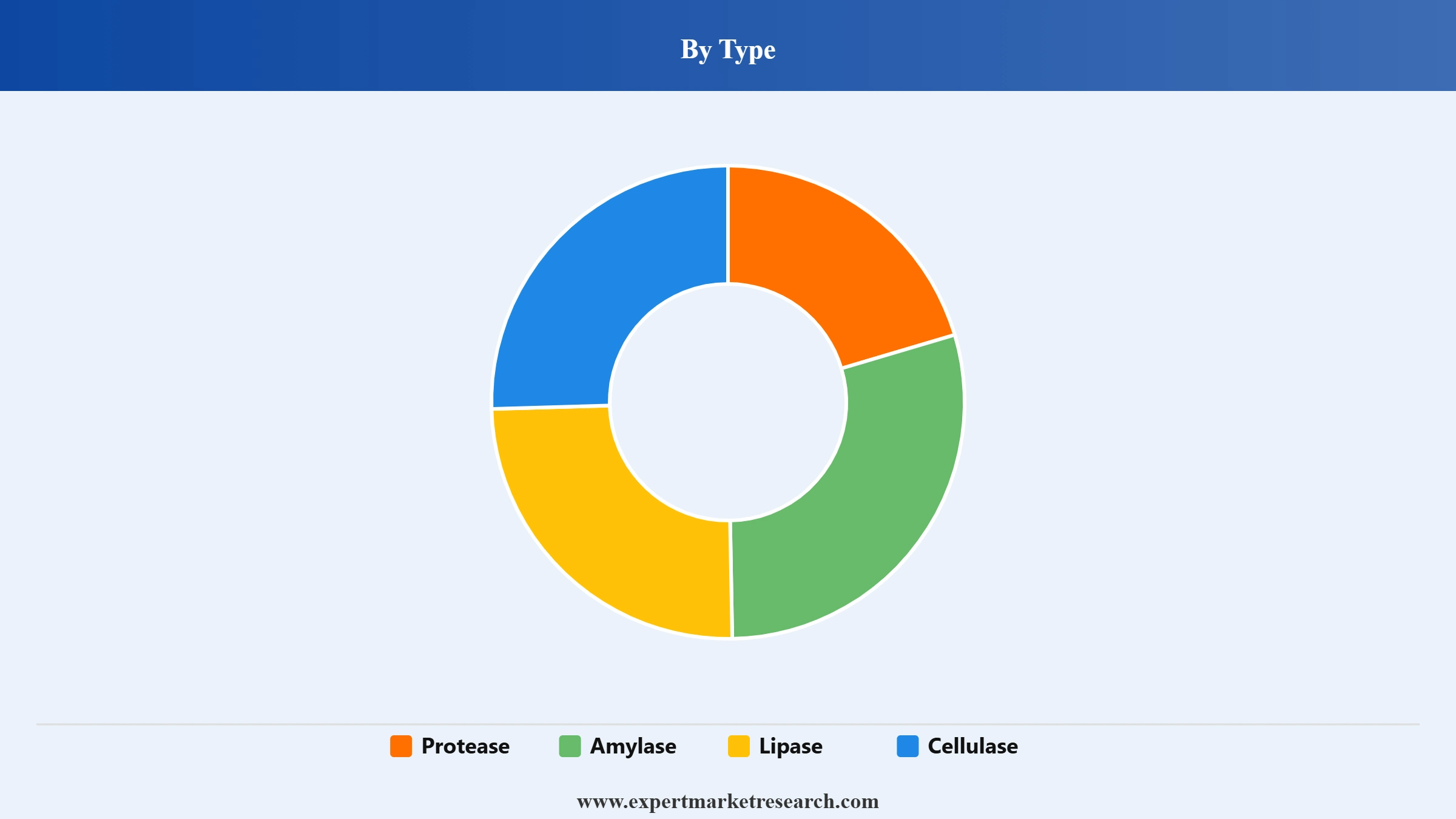 Enzymes Market Segment Type