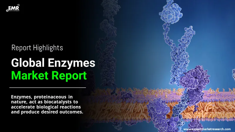 Global Enzymes Market