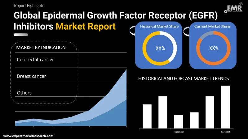 Global Epidermal Growth Factor Receptor (EGFR) Inhibitors Market