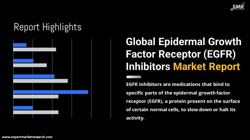 Global Epidermal Growth Factor Receptor (EGFR) Inhibitors Market