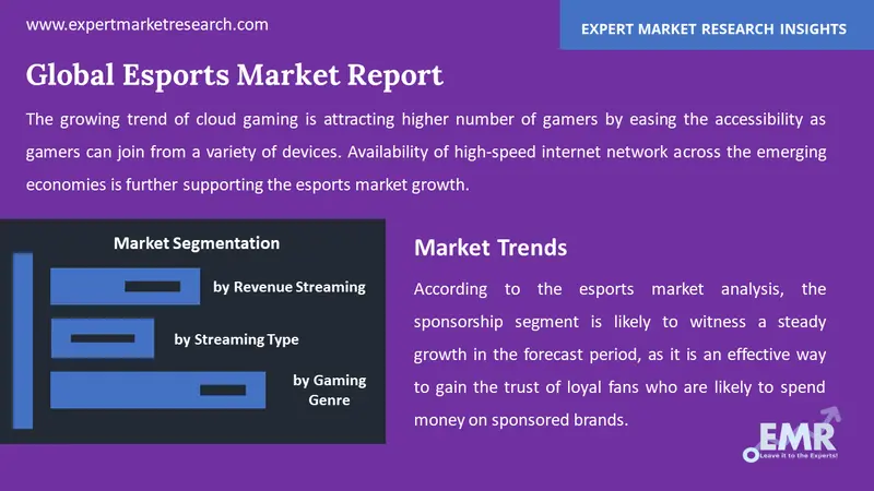 esports market by segments
