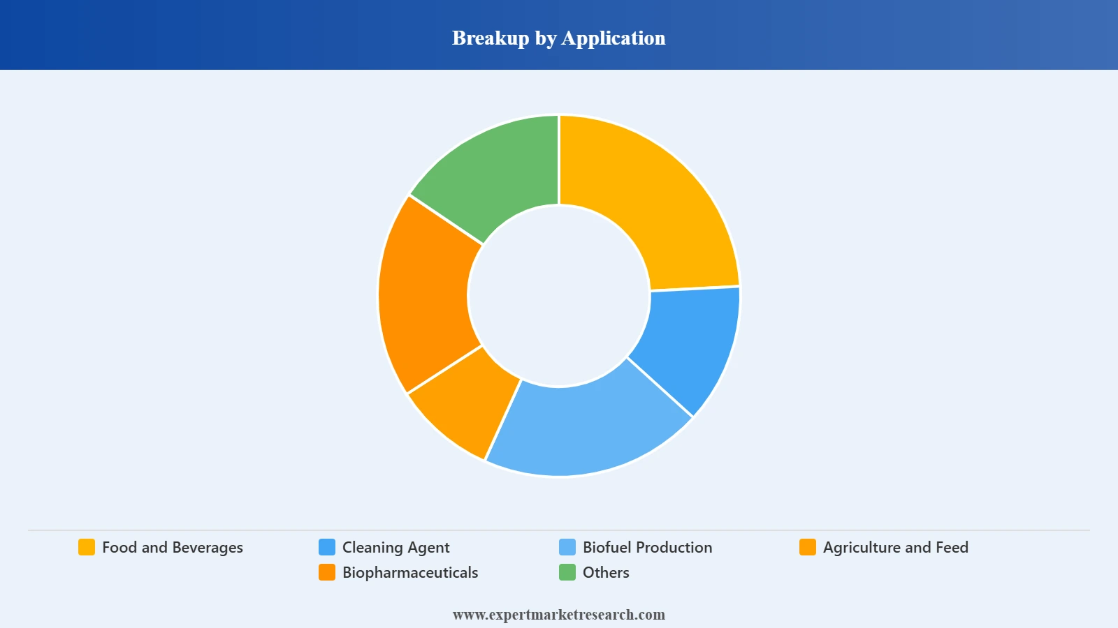 Europe Biocatalysts Market Segment Application