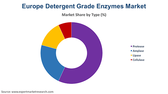 Europe Detergent Grade Enzymes Market By Type