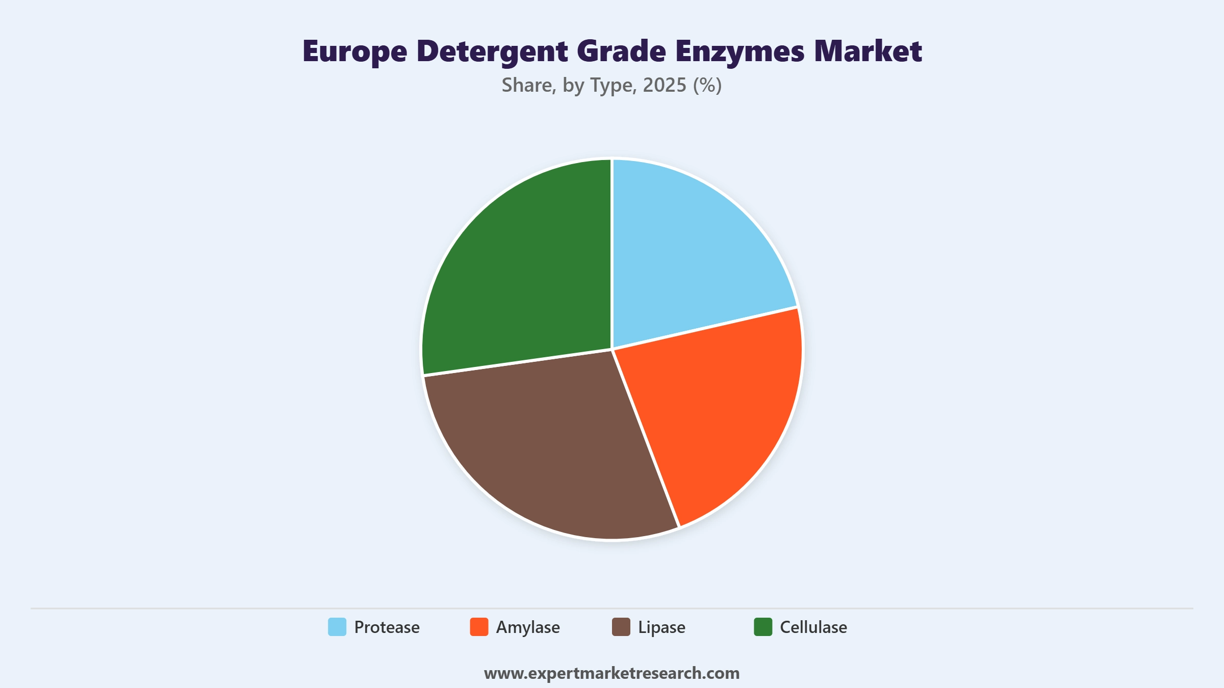 Europe Detergent Grade Enzymes Market Segment Type