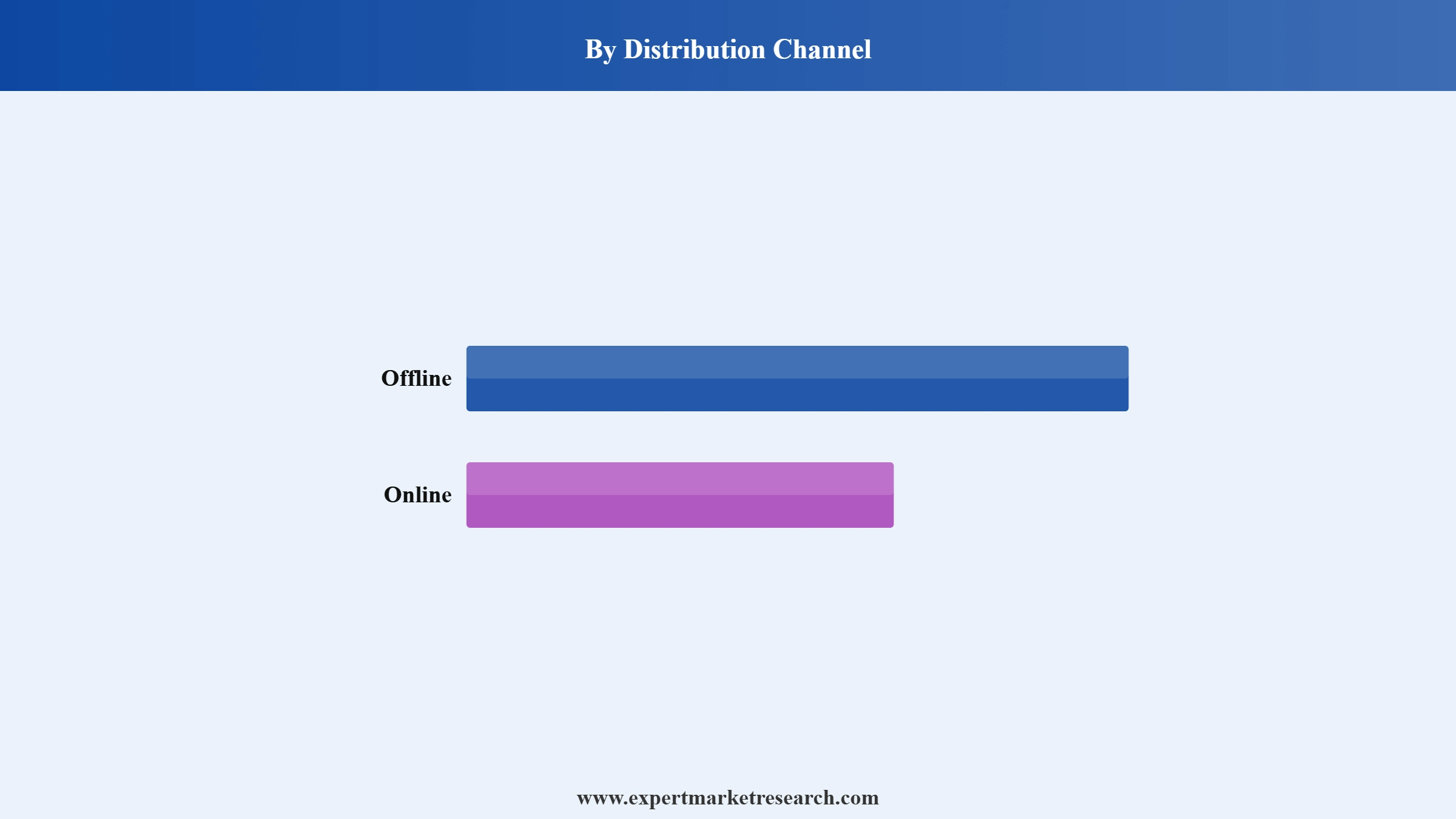 Europe Ski Market Segment Distribution Channel