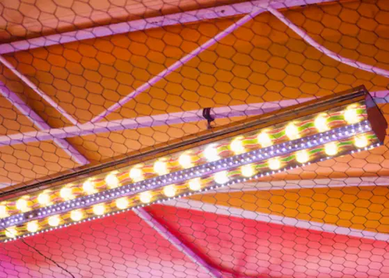 Explosion Proof and Hazard Rated LED Lighting