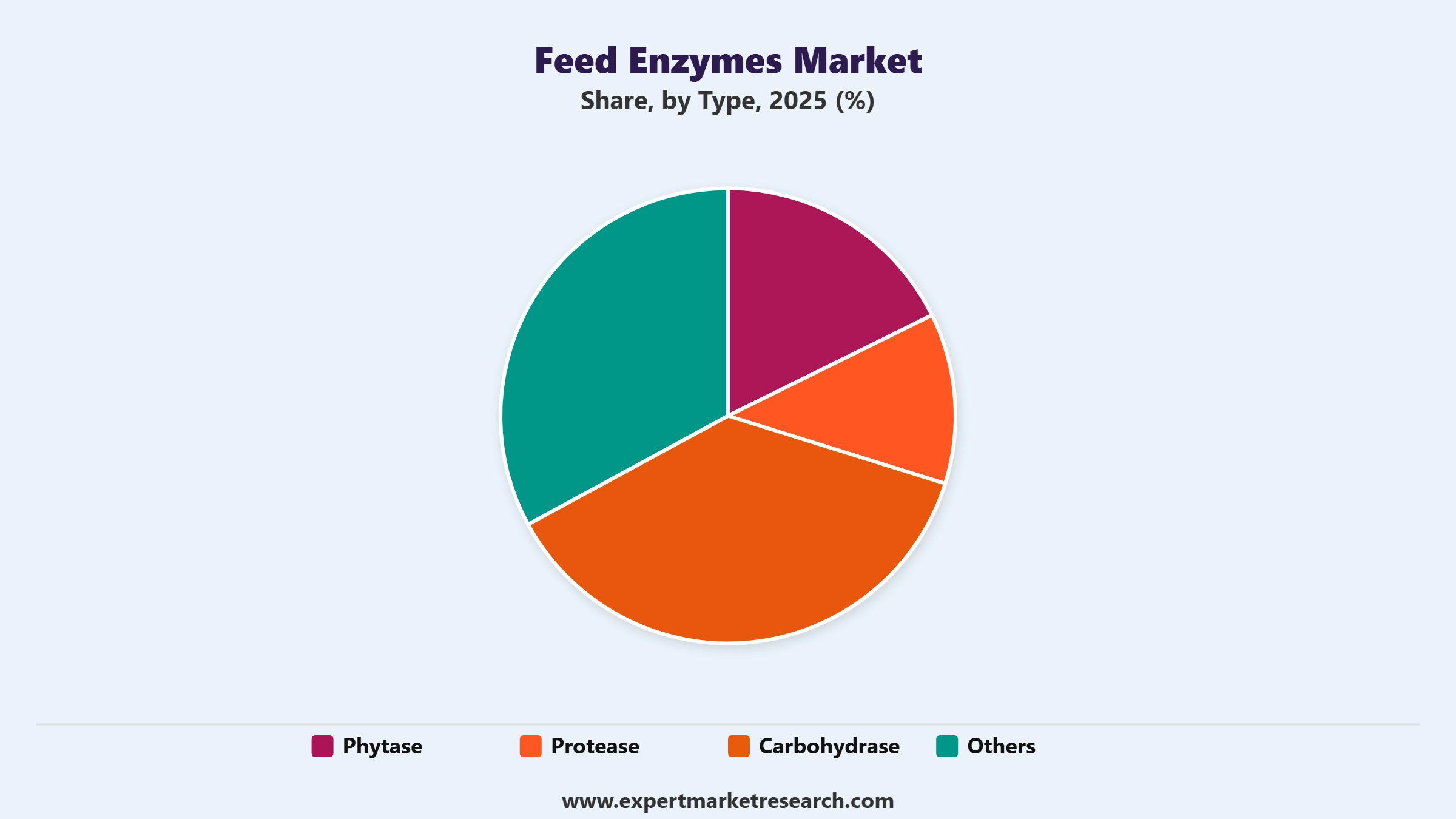 Feed Enzymes Market Segment Type