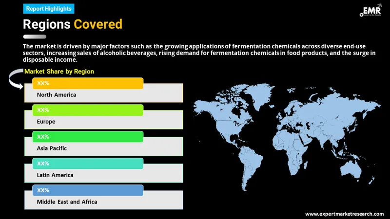 Global Fermentation Chemicals Market