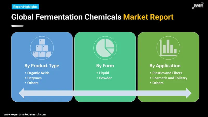 Global Fermentation Chemicals Market