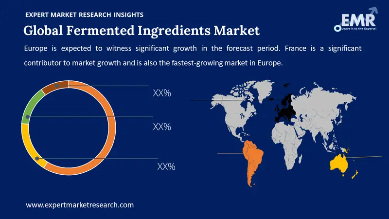 fermented ingredients market by region