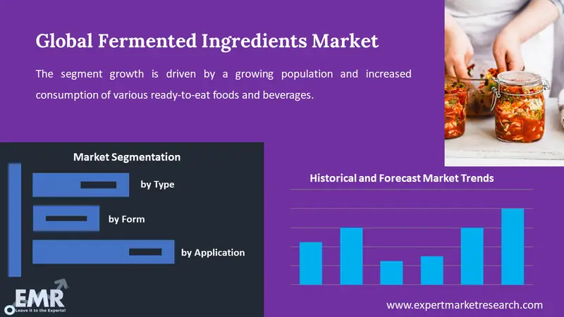 fermented ingredients market by segment