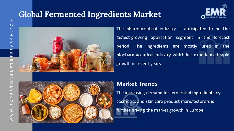 fermented ingredients market