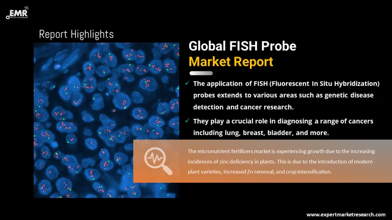 Global FISH Probe Market