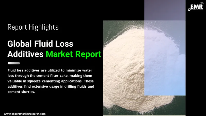 Global Fluid Loss Additives Market