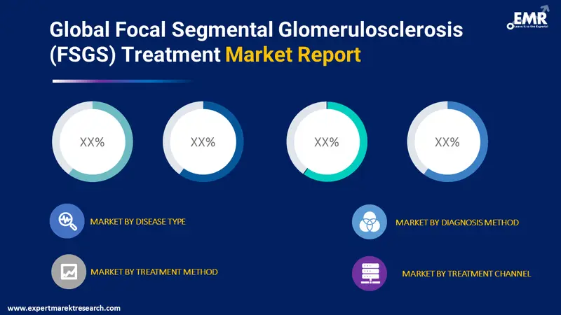 focal segmental glomerulosclerosis fsgs treatment market by segments