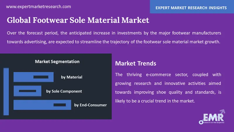 footwear sole material market by segments
