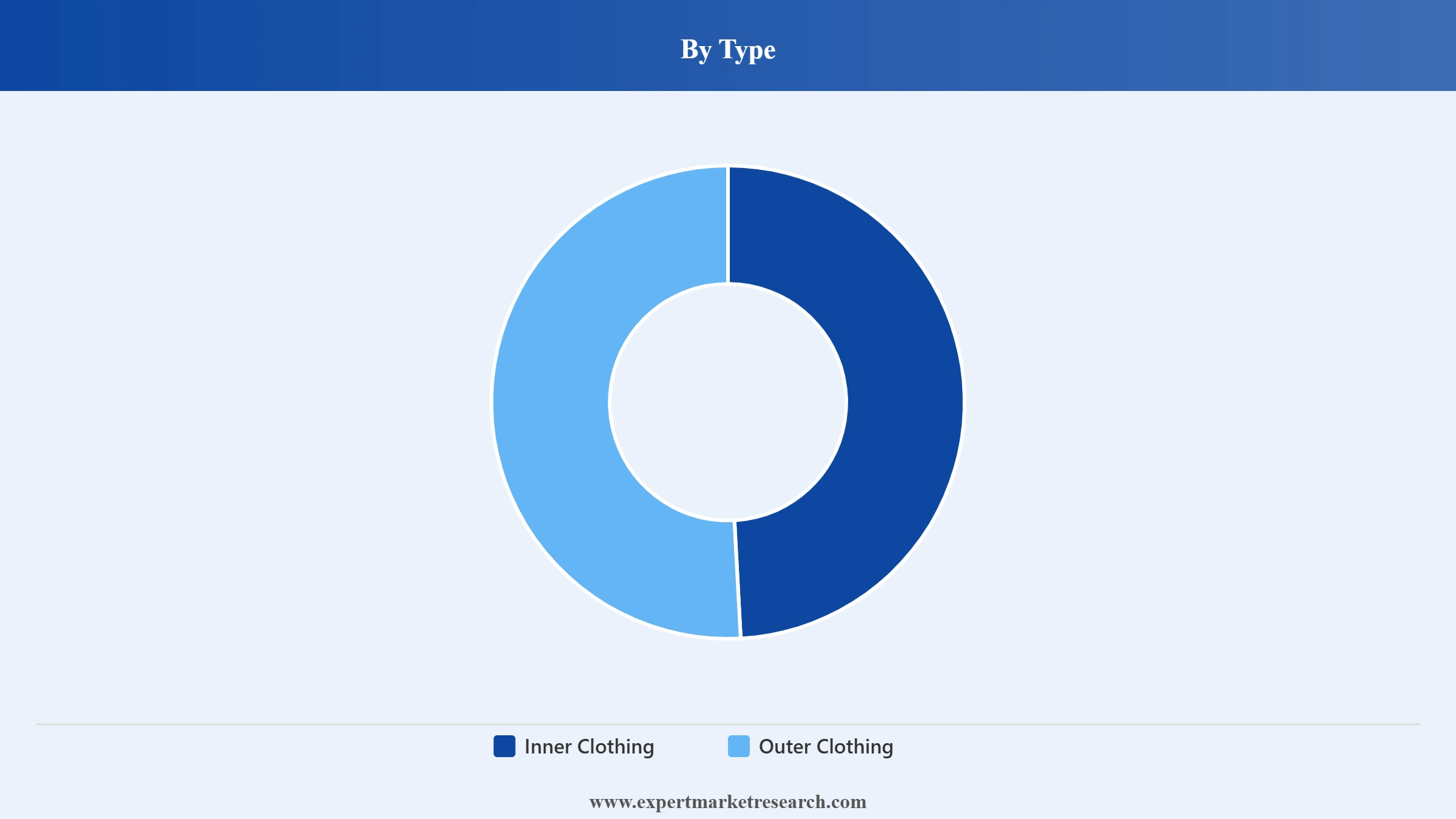 France Clothes Market Segment Type