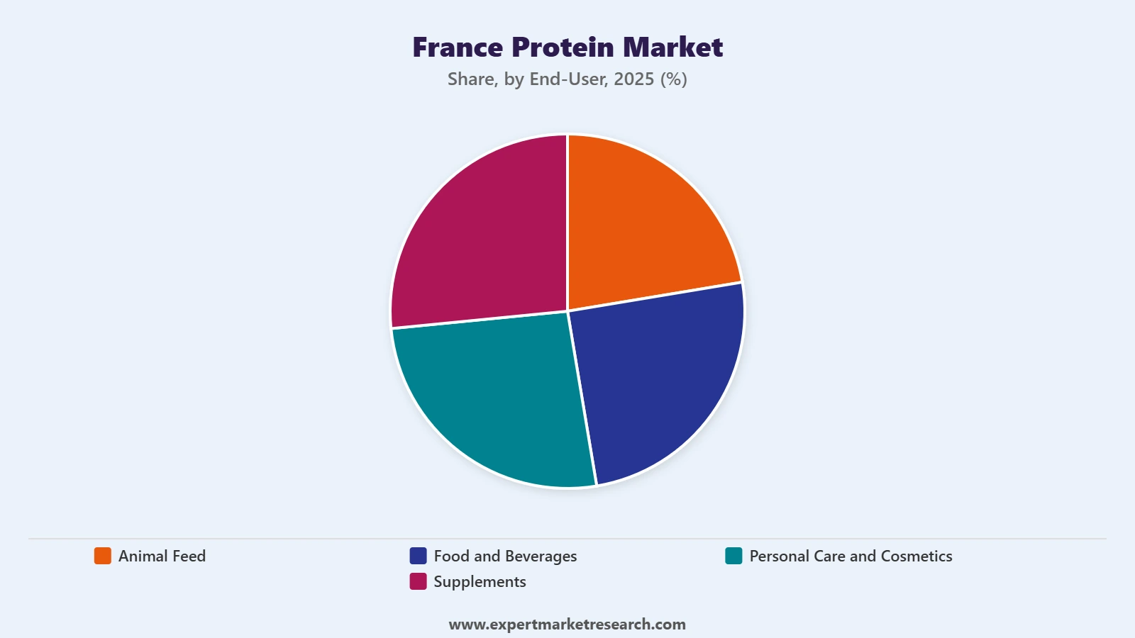 France Protein Market Segment End User