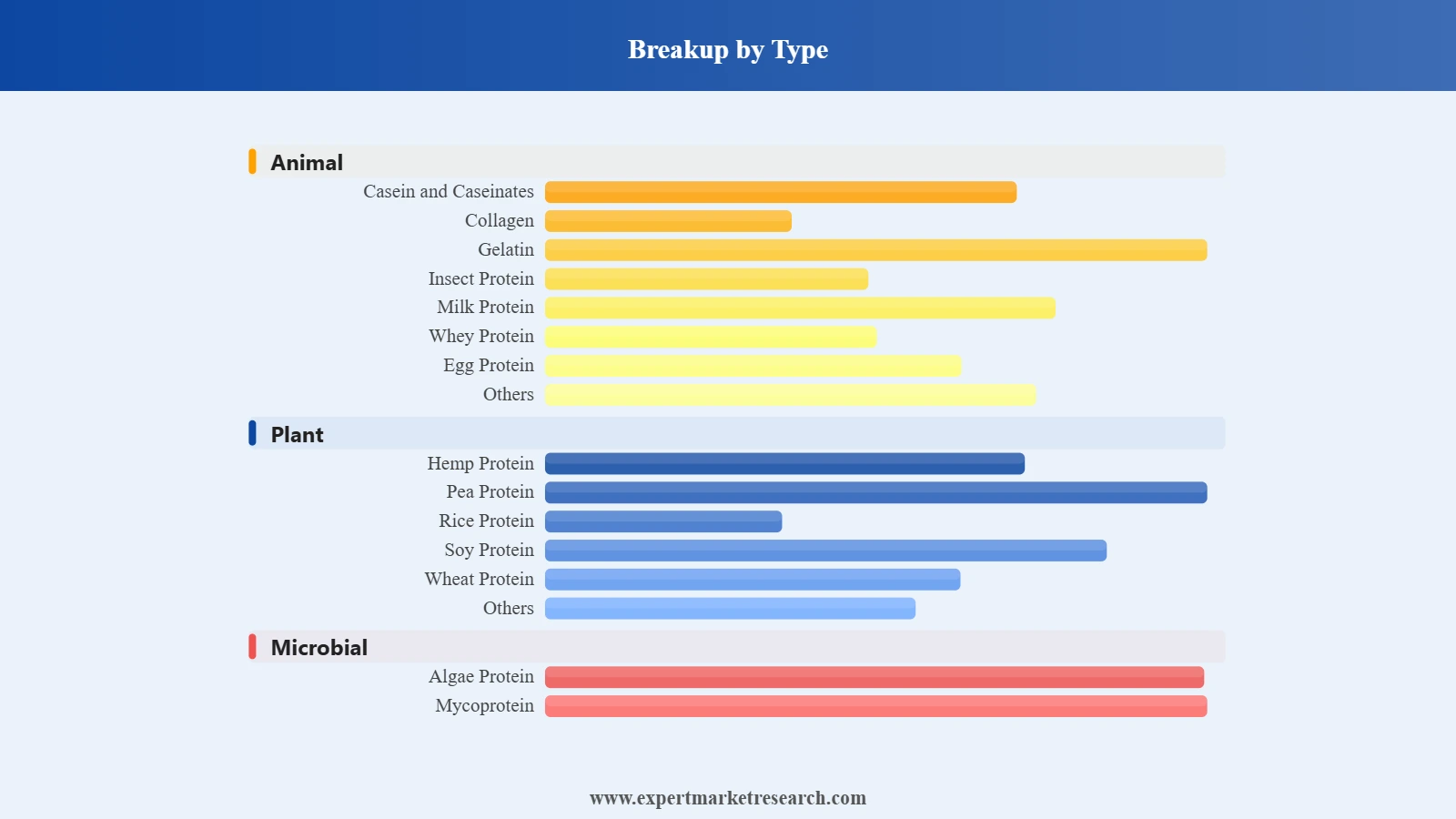 France Protein Market Segment Type