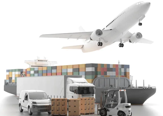 Frozen Food Supply Chain In Europe