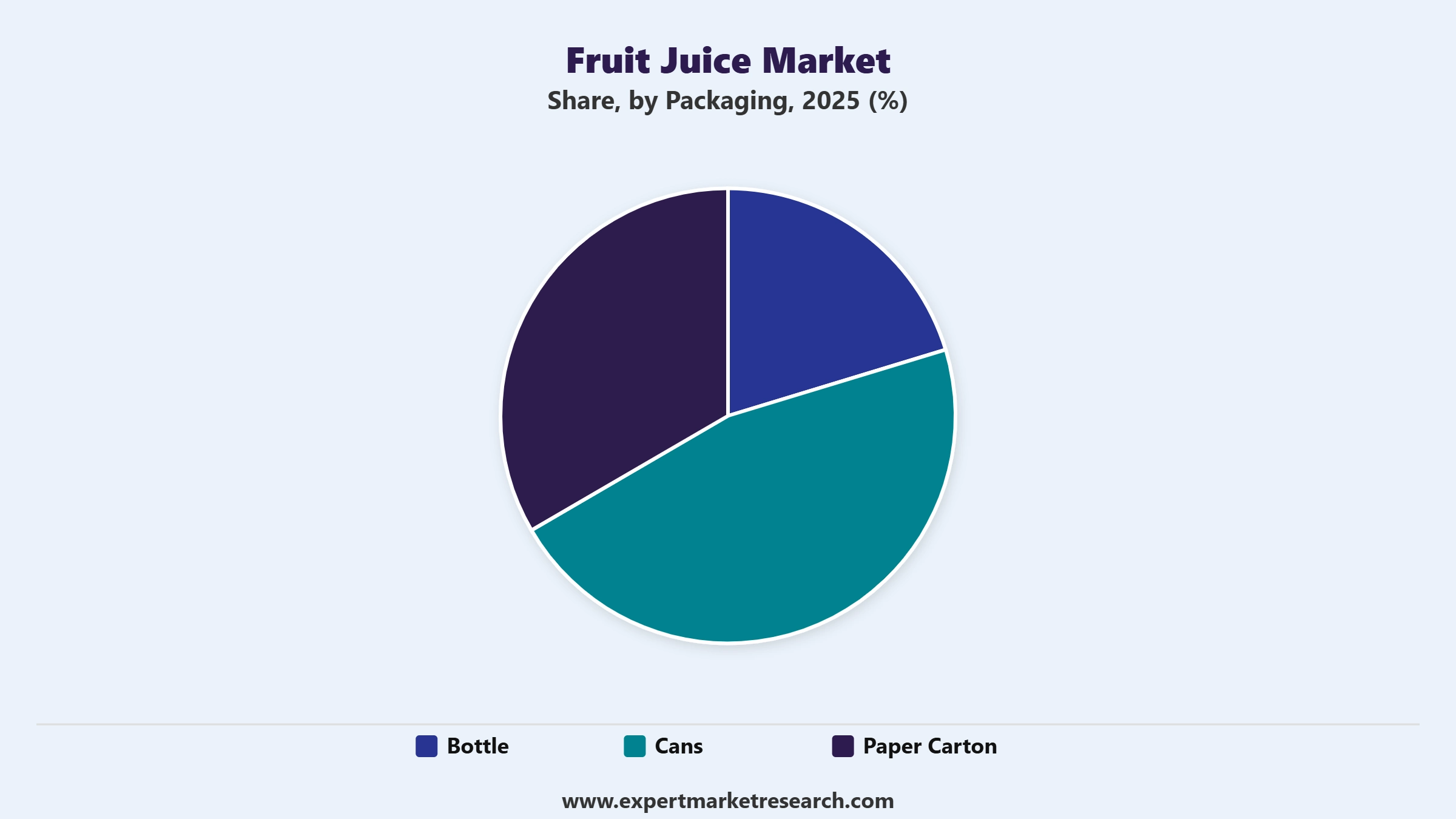 Fruit Juice Market Segment Packaging