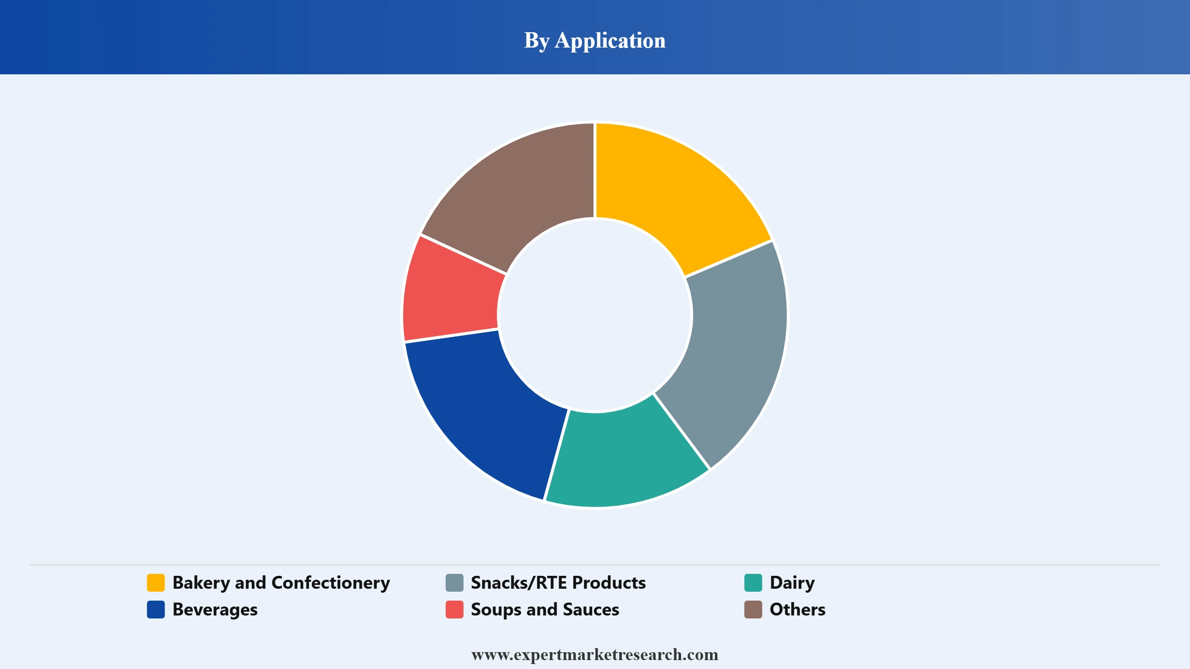Fruit Powder Market Segment Application