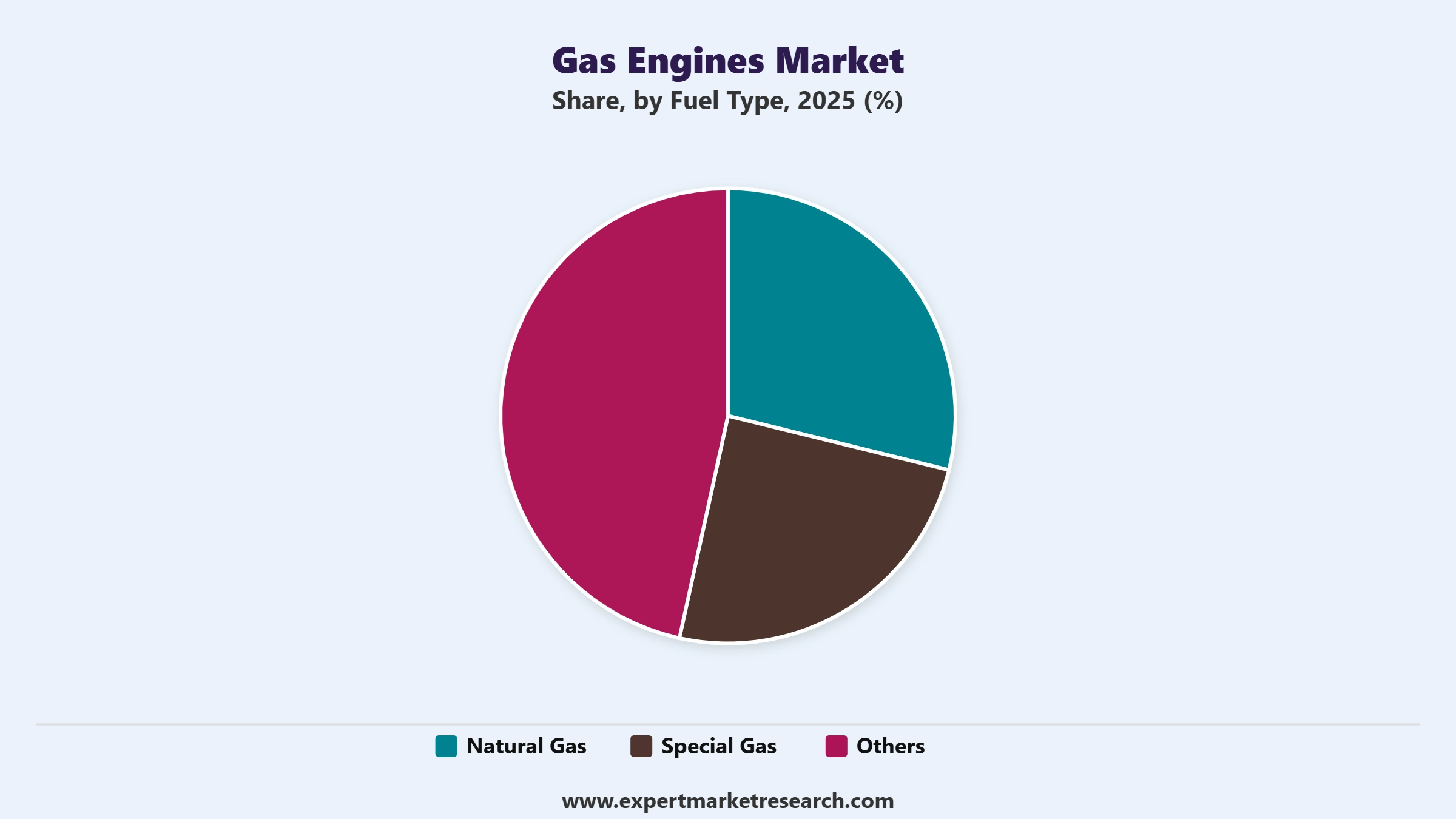 Gas Engines Market Segment Fuel Type