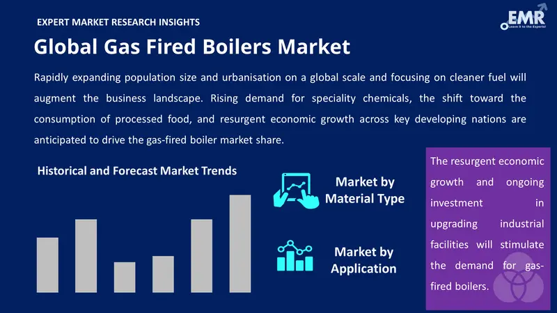 gas fired boilers market by segments