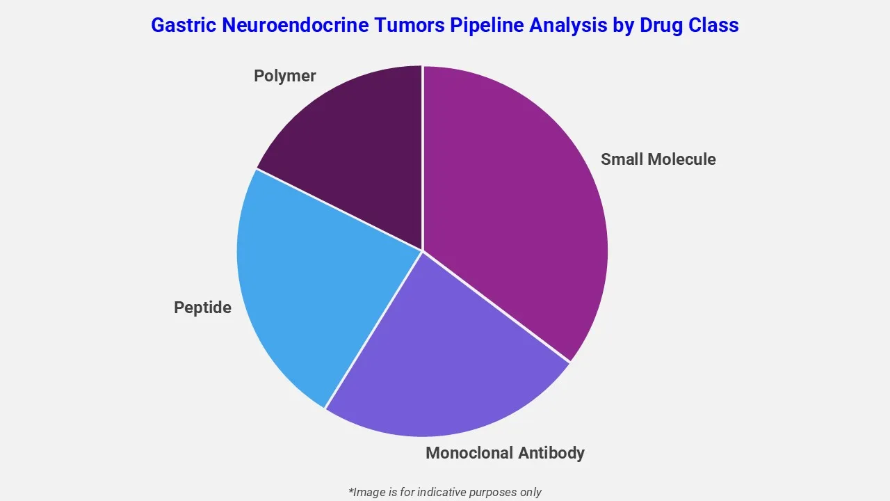 Gastric Neuroendocrine Tumors Pipeline Analysis By Drug Class