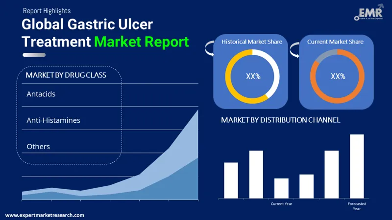 gastric ulcer treatment market by segments