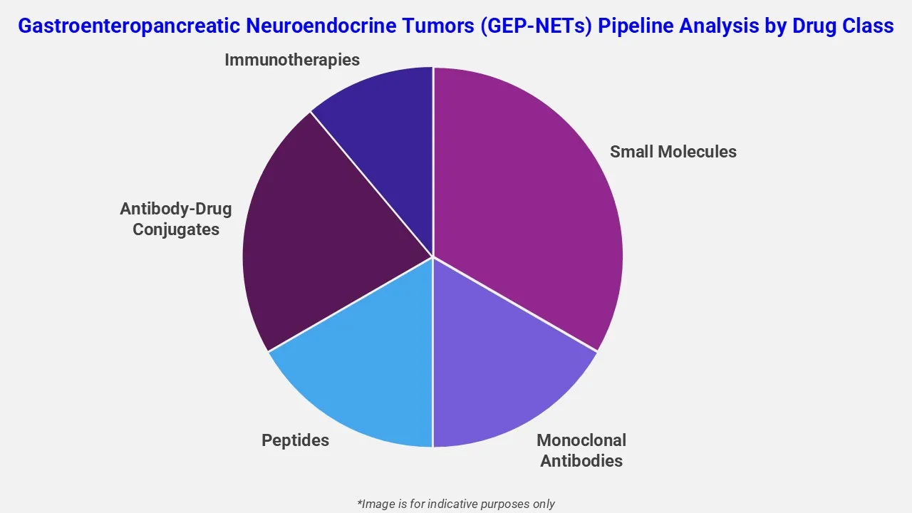 Gastroenteropancreatic Neuroendocrine Tumors Pipeline Analysis By Drug Class
