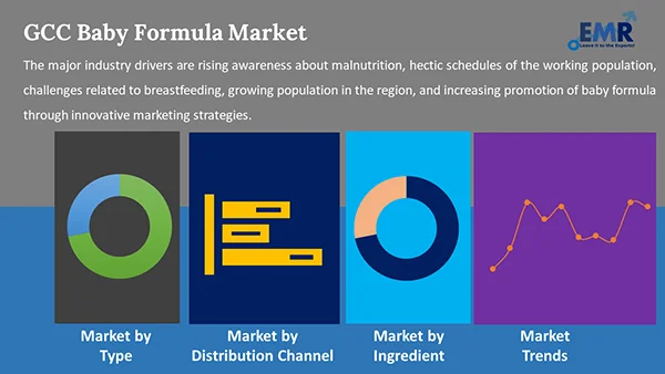 GCC Baby Formula Market by Segment