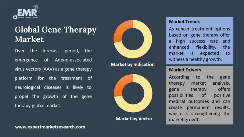gene therapy market by segments