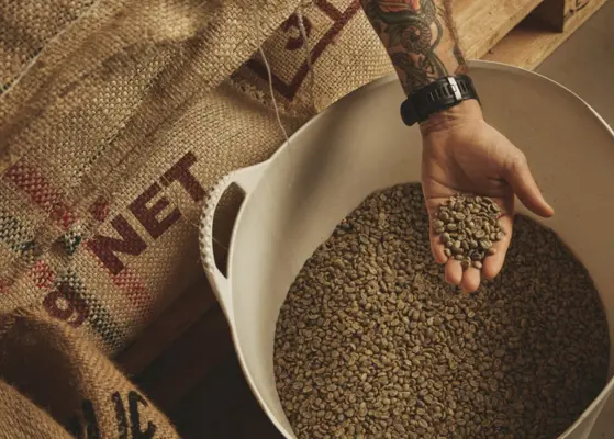 Germany Coffee Supply Chain And Sourcing