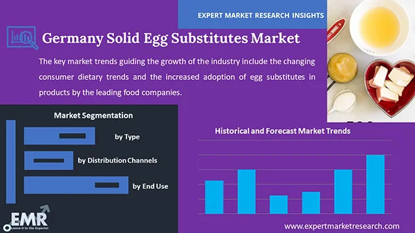 Germany Solid Egg Substitutes Market By Segment