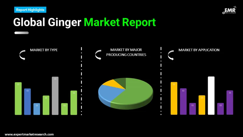 Ginger Market by Segments