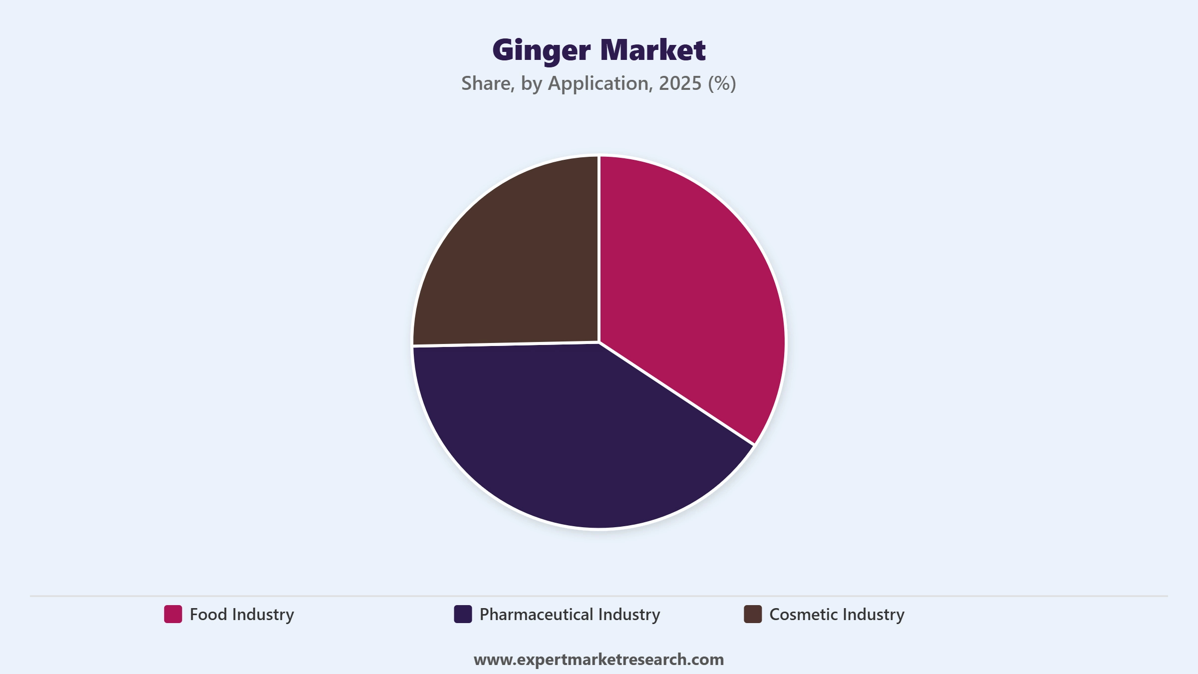 Ginger Market Segment Application