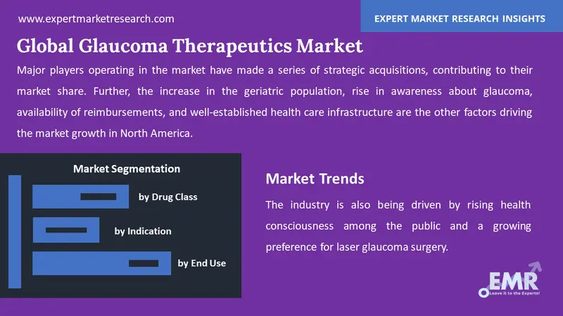 glaucoma therapeutics market by segments